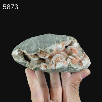 Thomsonite Pink Rare Find Natural Mineral Specimen # B 5873