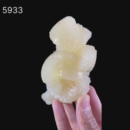 Stellerite Bow Natural Mineral Specimen # B 5933