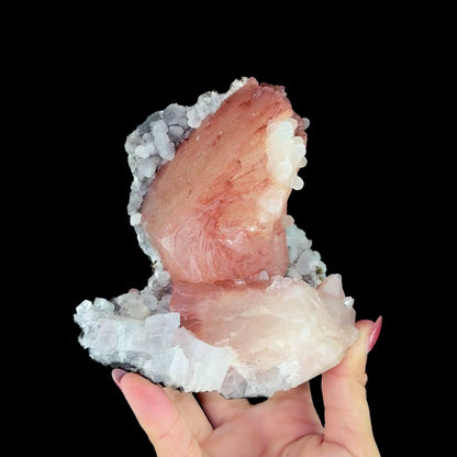 Vibrant Salmon-Pink Heulandite Bowtie Fan on Sparkling Micro-Chalcedony Matrix - Collector’s Cabinet Specimen from Jalgaon, India # DKT197