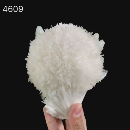Scolecite Galssy Spehere with Apophyllite Natural Mineral Specimen  # B 4609