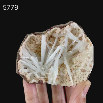 Scolecite Sprays Inside Heulandite Geode Natural Mineral Specimen # B 5779