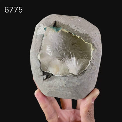 Scolecite Spray Inside Chalcedony Geode free standing Natural Mineral Specimen # B 6775