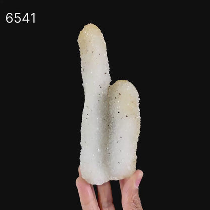 MM Quartz Coral Formation Natural Mineral Specimen # B 6541