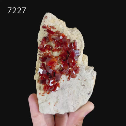 Lustrous Deep Red-Orange Vanadinite Crystals on Natural Matrix - Classic Collector Specimen from Mibladen, Morocco # B 7227