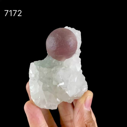 Rare Purple Botryoidal Fluorite on Quartz Natural Mineral Specimen from Madhya Pradesh # B 7172