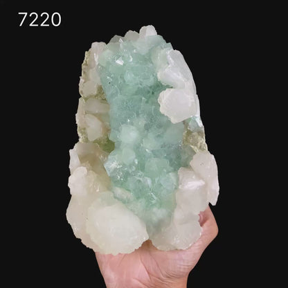Lustrous Mint Green Apophyllite Cluster with Stilbite - Collector’s Specimen from Pune, Maharashtra # B 7220