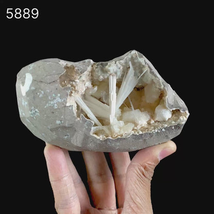 Scolecite Sprays Inside Heulandite Geode Natural Mineral Specimen # B 5889