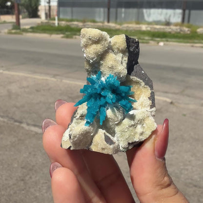 Rare Electric-Blue Pentagonite Crystal Spray on Heulandite Matrix – Natural Mineral Specimen from Wagholi, Pune # G DKT116