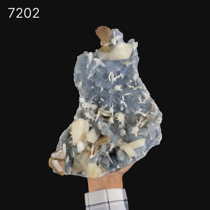 Heulandite,Stilbite on Blue Chalcedony Matrix - Rare Collector’s Specimen from Nashik # B 7202