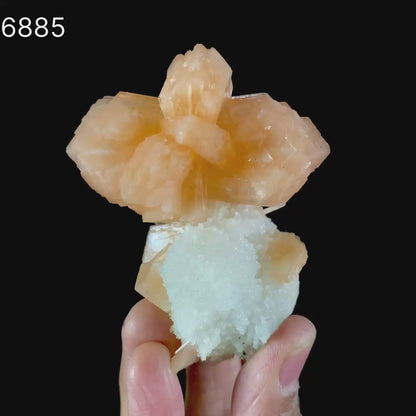 Stilbite With Chalcedony Natural Mineral Specimen # B 6885