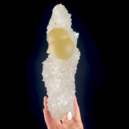 Yellow Botryoidal Fluorite Spheres on Sparkling Quartz - Collector’s Cabinet Specimen from Madhya Pradesh # DKT168