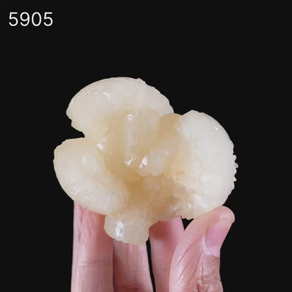 Stellerite Bow Natural Mineral Specimen # B 5905
