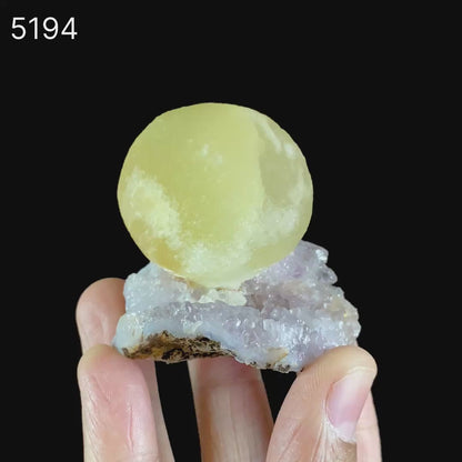 Fluorite Botryoidalon Amethyst Natural Mineral Specimen  # B 5194