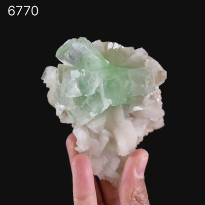 Green Apophyllite Disco Ball with Stilbite Natural Mineral Specimen # B 6770