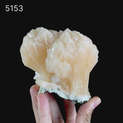 Stilbite Twin Terminated Natural Mineral Specimen  # B 5153