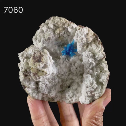 Pentagonite on Mordeite (Rare Find) Natural Mineral Specimen # B 7060