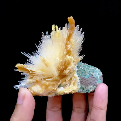 Scolecite Spray With Calcite Stalactites Natural Mineral Specimen # B 6696