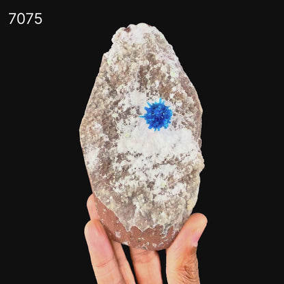 Pentagonite on Mordeite (Rare Find) Natural Mineral Specimen # B 7075