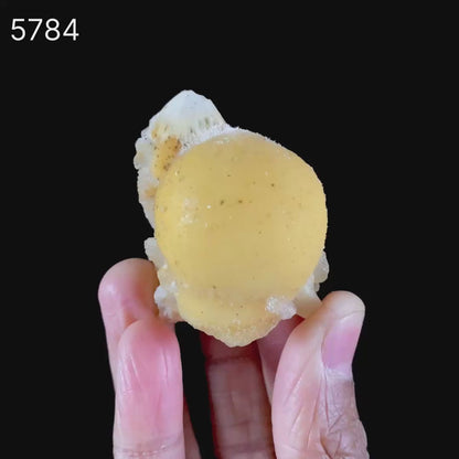 Thomsonite Rare Find with Stilbite Natural Mineral Specimen # B 5784