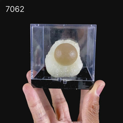 Botryoidal Fluorite on Quartz – Natural Mineral Specimen # B 7162