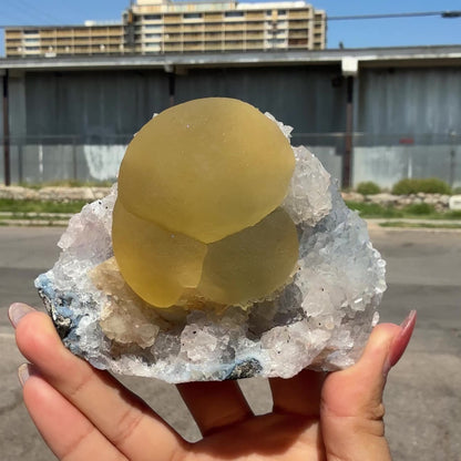 Botryoidal Yellow Fluorite Cluster on Quartz Matrix – Indian Mineral Specimen from Nashik # DKT100