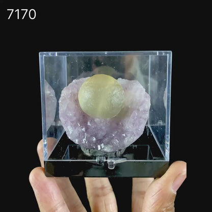 Botryoidal Yelllow Fluorite on Amethyst – Natural Mineral Specimen # B 7170
