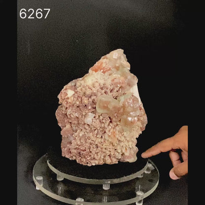 Scolecite Spray Brown color with Apophyllite cubes Natural Mineral Specimen # B 6267