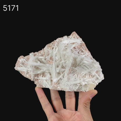 Scolecite Sprays with Stilbite on Heulandite Natural Mineral Specimen  # B 5171