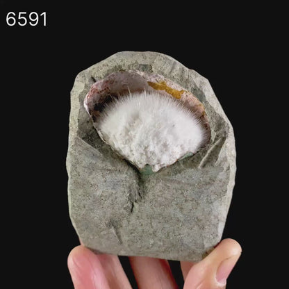 Mesolite Inside MM Quartz Geode Natural Mineral Specimen # B 6591