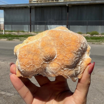 Orange Botryoidal Thomsonite with Needle Mesolite & Calcite – Indian Zeolite Mineral Specimen from Madhya Pradesh # DKT112