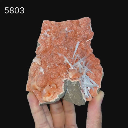 Scolecite Sprays Inside Heulandite Geode Natural Mineral Specimen # B 5803