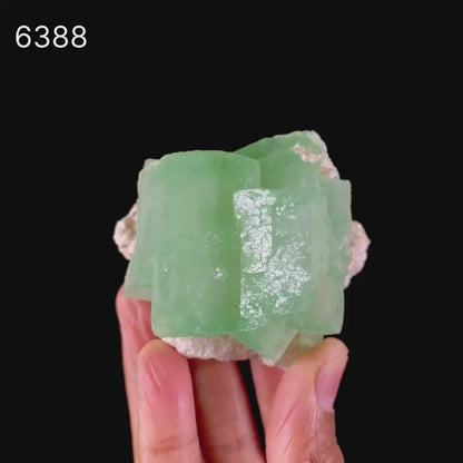 Apophyllite Green Cube on Chalcedony Natural Mineral Specimen # B 6388