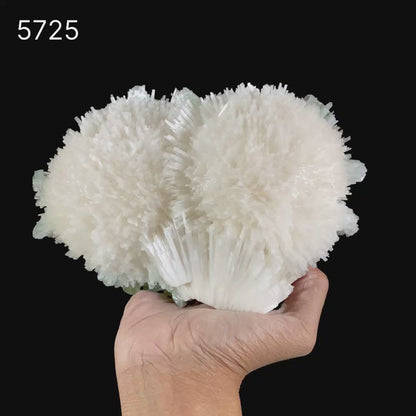 Scolecite Huge Spray with Green Apophyllite Cube Natural Mineral Specimen # B 5725