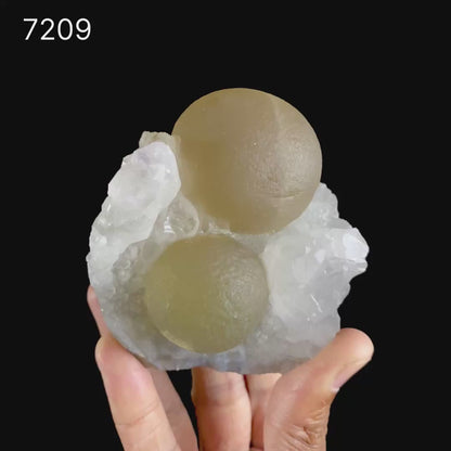 Rare Dual Yellow-Green Botryoidal Fluorite Spheres on Quartz Matrix - Collector’s Specimen from Madhya Pradesh # B 7209