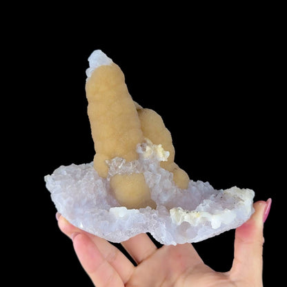 Yellow Botryoidal Fluorite Stalactite on Amethyst Matrix - Rare Collector’s Specimen from Madhya Pradesh # DKT163