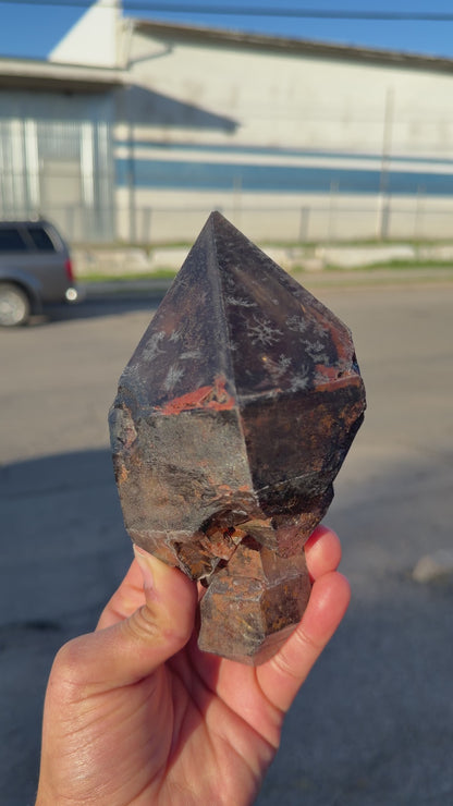 Rare Smoky Quartz Scepter Formation Natural Crystal Specimen from Karur, India – Large Raw Smoky Quartz Collector Mineral # DKT13