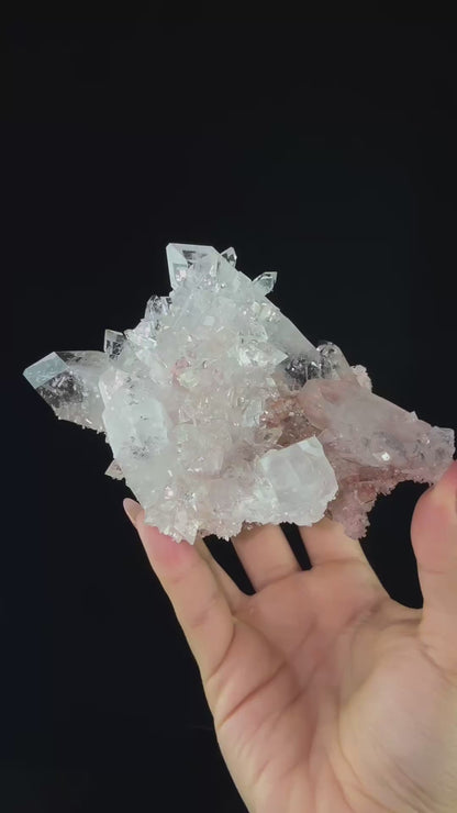 Gemmy Apophyllite and Chalcedony | High Quality Mineral | Indian Mineral | Superb Minerals | Fine Minerals | Collectors Piece