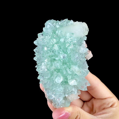 Lustrous Mint Green Apophyllite Rosette Spray on Heulandite Matrix - Rare Collector’s Indian Specimen from Madhya Pradesh #DKT158