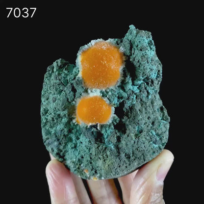 Thomsonite Orange Rare Find Natural Mineral Specimen # B 7037