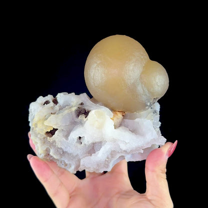 Yellow Botryoidal Fluorite on Amethyst Matrix – Indian Mineral Specimen from Madhya Pradesh # DKT194