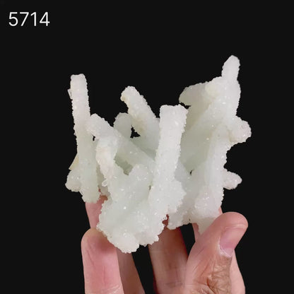 Prehnite Rare Find Natural Mineral Specimen # B 5714