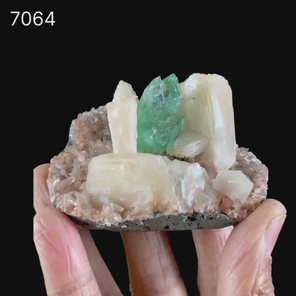 Green Apophyllite With Stilbite Natural Mineral Specimen # B 7064