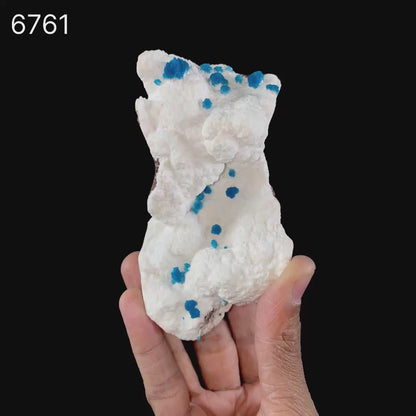 Cavansite on Modernite (Rare Find) Natural Mineral Specimen # B 6761