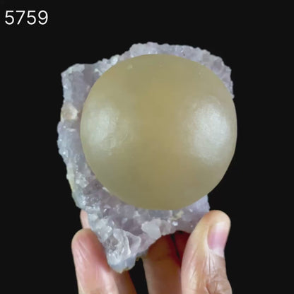 Fluorite Huge Ball on Amethyst Very Rare Natural Mineral Specimen # B 5759