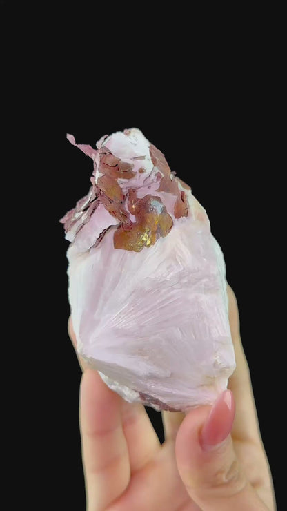 Copper on Scolecite | High Quality Mineral | Indian Minerals | Superb Minerals | Fine Mineral | Collectors Piece