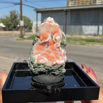 Rare Orange Thomsonite with Mesolite Natural Mineral Specimen from Madhya Pradesh, India DKT81