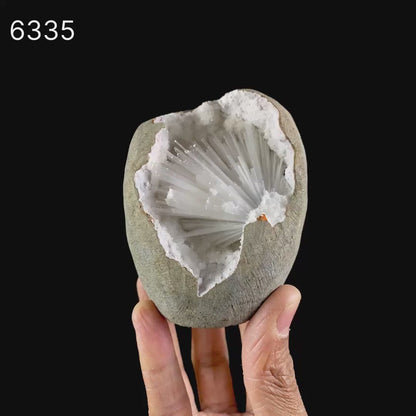 Scolecite Spray Inside MM Quartz Geode Natural Mineral Specimen # B 6335