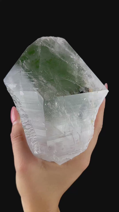 Chlorite in Clear Quart Point | SELF STANDING | Large Quartz Point | Fine Mineral | Superb Minerals | Collectors Piece