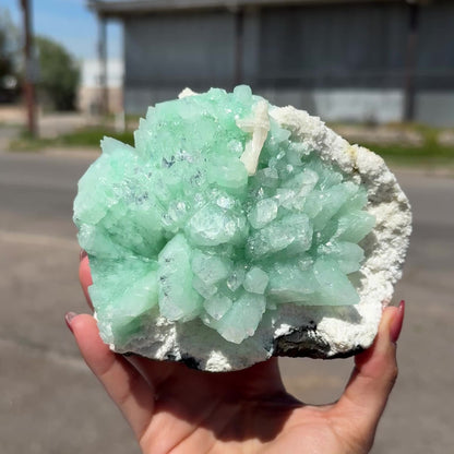 Green Apophyllite Flower Rosette on Chalcedony Matrix – Indian Zeolite Mineral Specimen from Pune# DKT110
