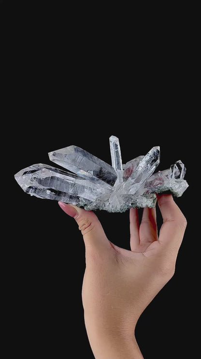 Lemurian Quartz on Chlorite Matrix | SELF STANDING | High Quality Mineral | Indian Mineral | Superb Minerals